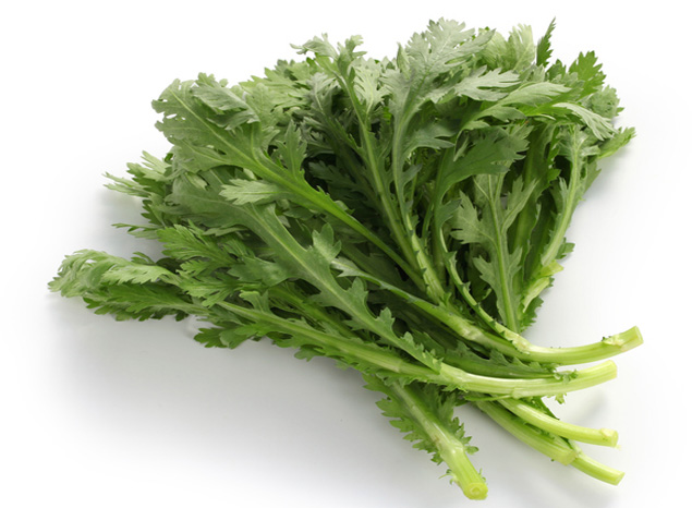 635Section_slider_win002